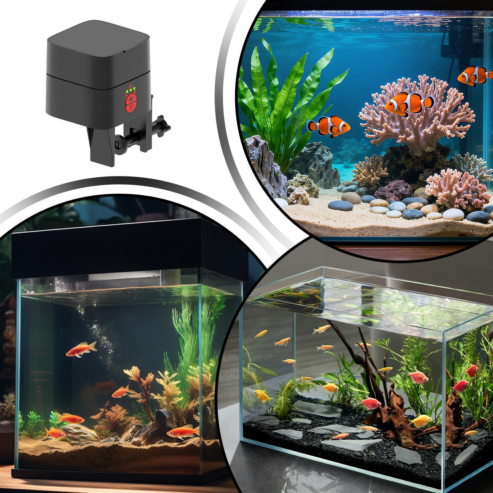 Автоматическая кормушка для ры – обзор и цена Fishing Line Dispenser